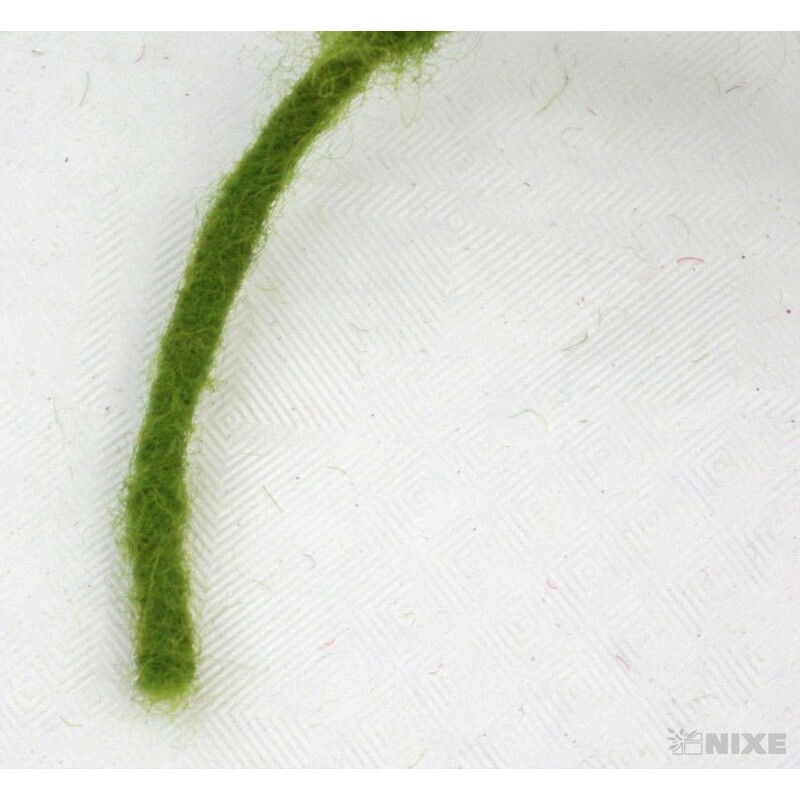 VLNA 5mmx55m*ZELENÁ TM.