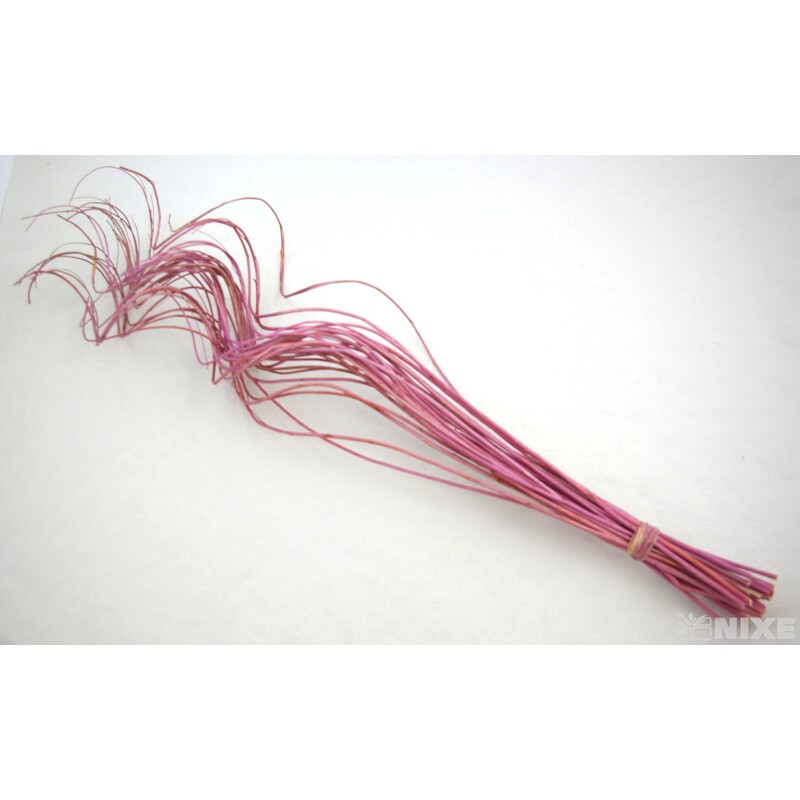 CURLY WILLOW HALF 60cm*RŮŽOVÁ SV.