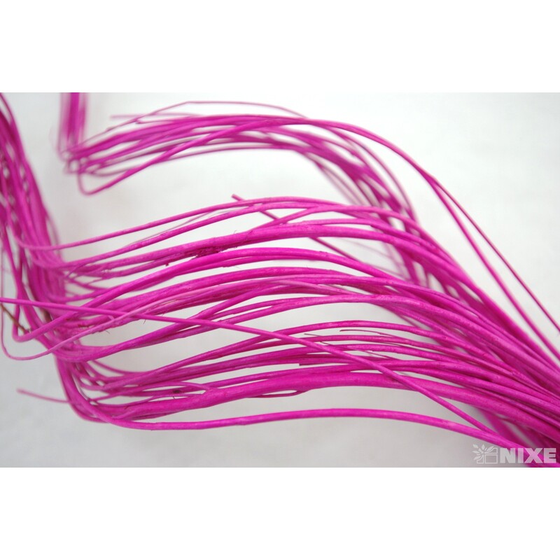 CURLY WILLOW HALF 60cm*FUXIE