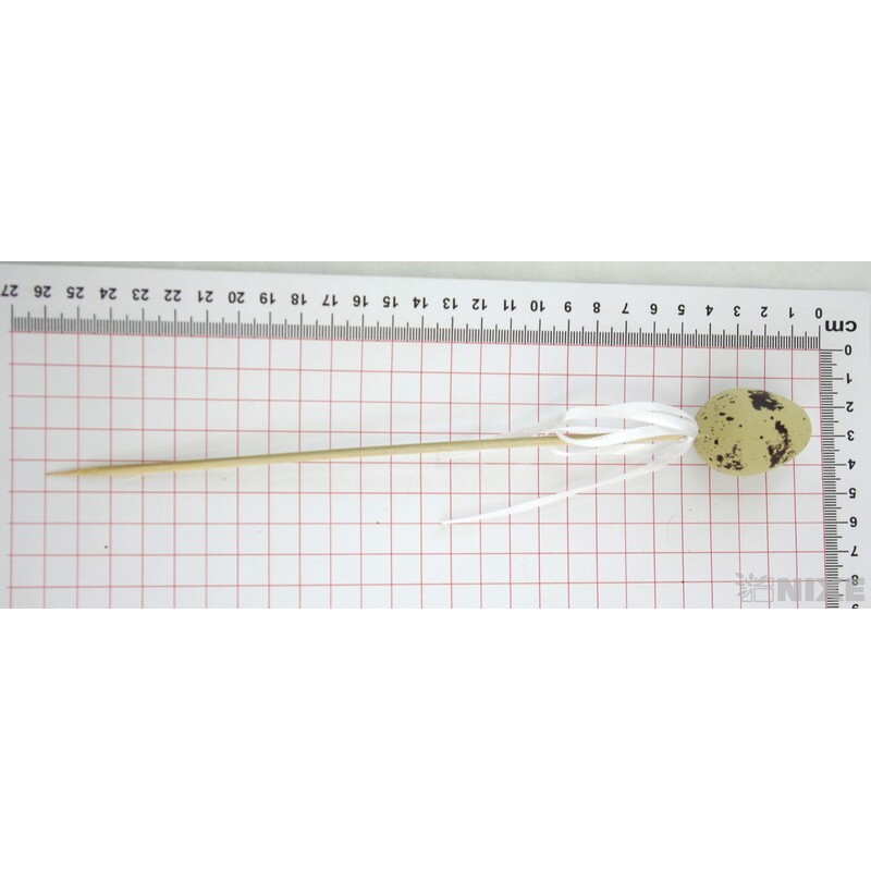 ZÁPICH VAJÍČKA 12ks 4x24cm*PŘÍRODNÍ