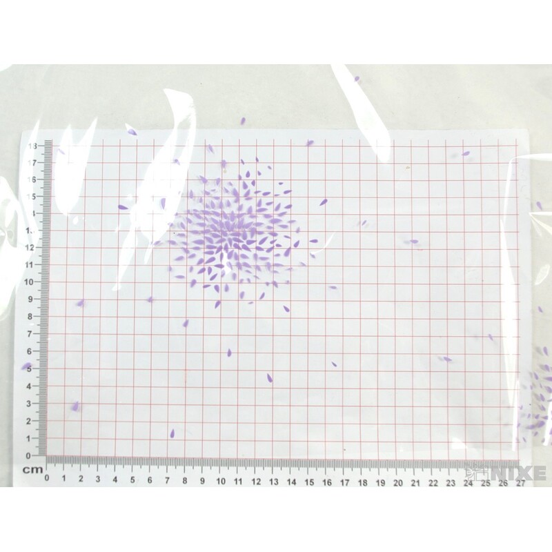 ARCH F 242TJ 100x130cm*FIALOVÁ 08 V+