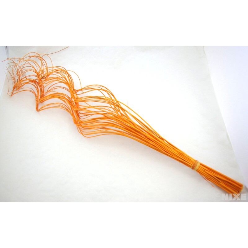 CURLY WILLOW HALF 80cm*ORANŽOVÁ SV.