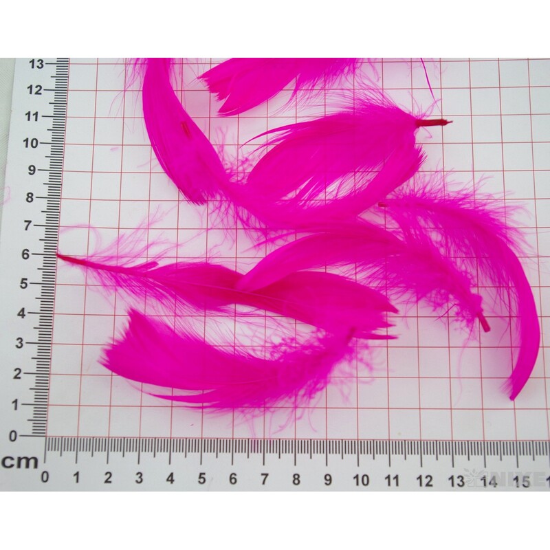 PEŘÍČKA BOX 15gr. cca 250ks*FUXIE C21