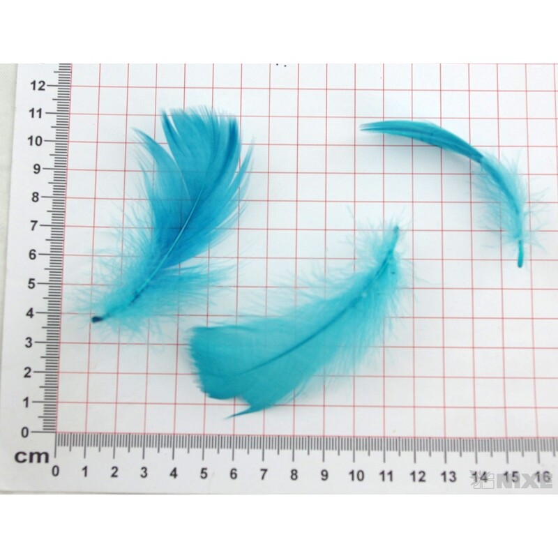 PEŘÍČKA BOX 15gr. cca 250ks*TYRKYSOVÁ C26