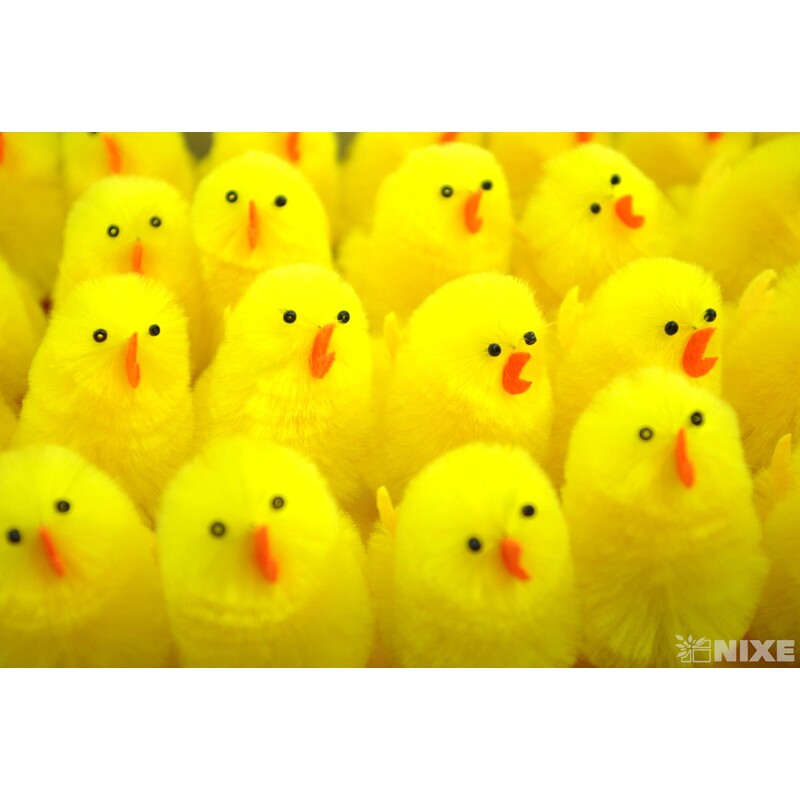 KUŘÁTKA 6x3cm 28ks*ŽLUTÁ