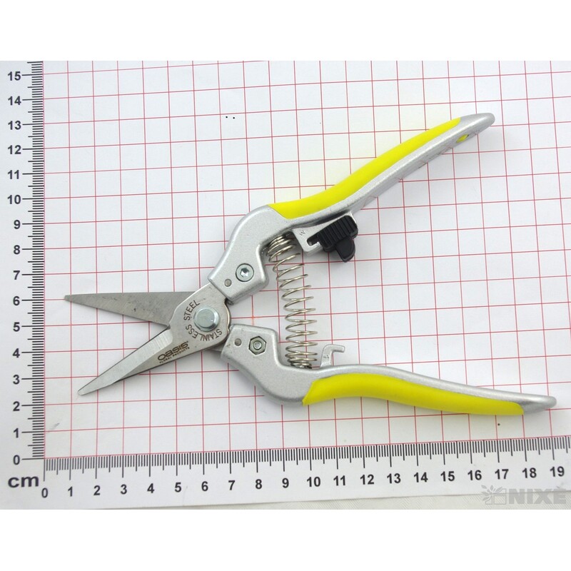 NŮŽKY FLORISTICKÉ OASIS*