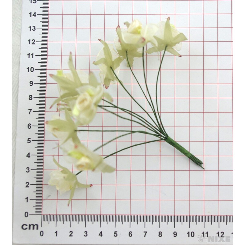 KYTIČKA SVAZEK 1x10cm 10ks 12sv*MIX BAREV