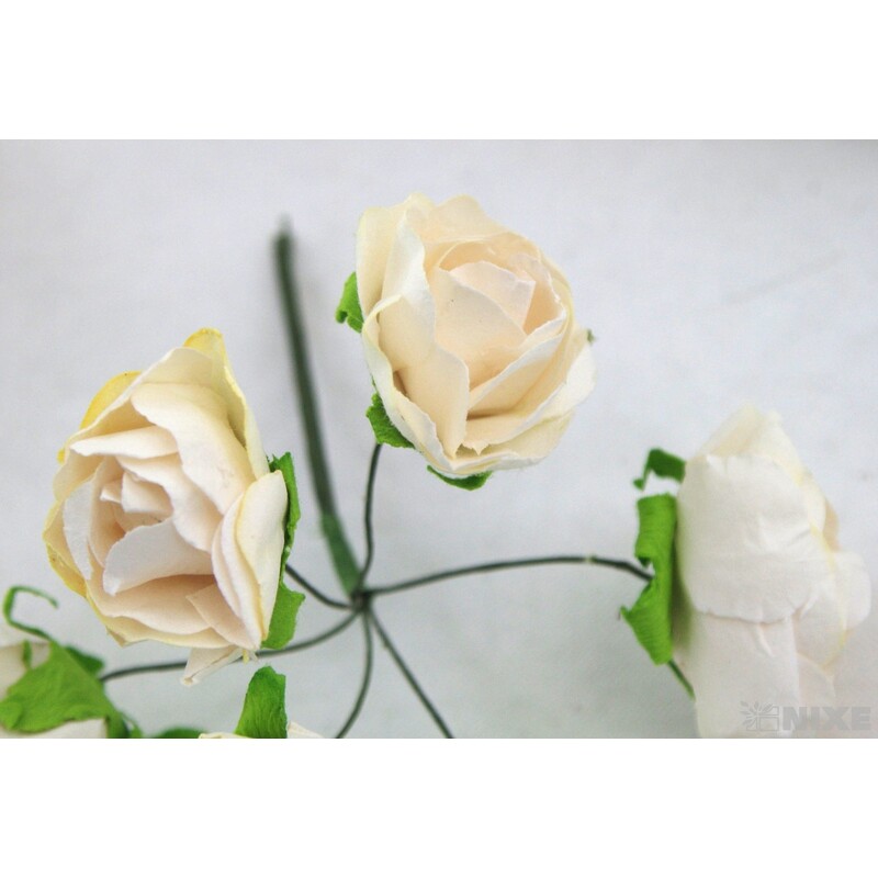 KOULE PEDIG 10cm*MIX BAREV