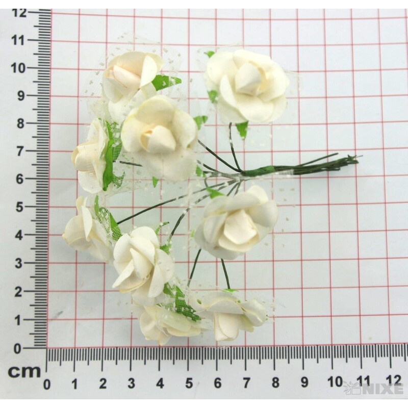 KYTIČKA SVAZEK 1x10cm 10ks 12sv*MIX BAREV