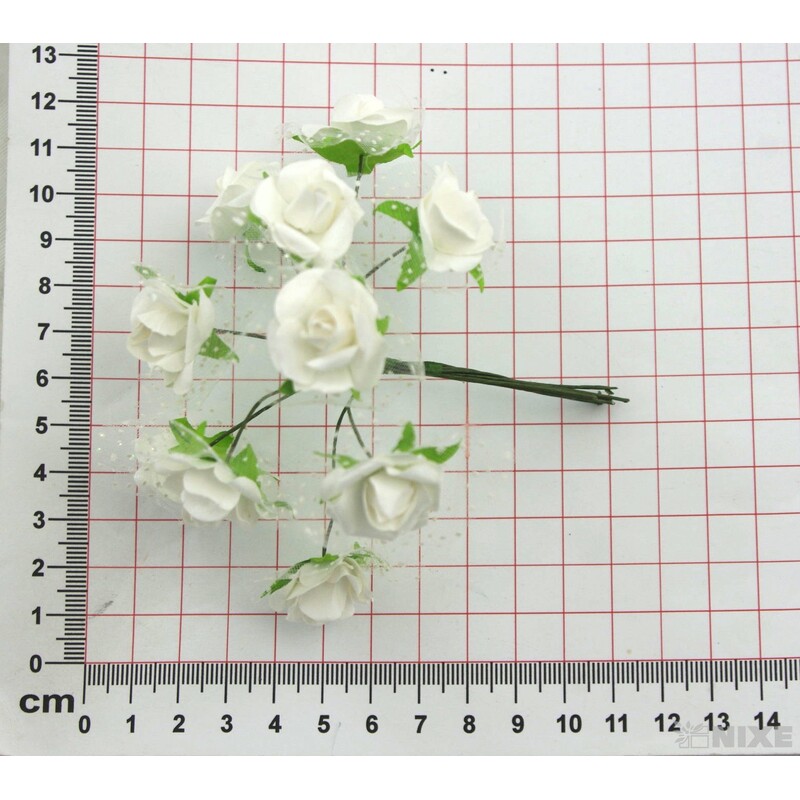 KYTIČKA SVAZEK 1x10cm 10ks 12sv*MIX BAREV