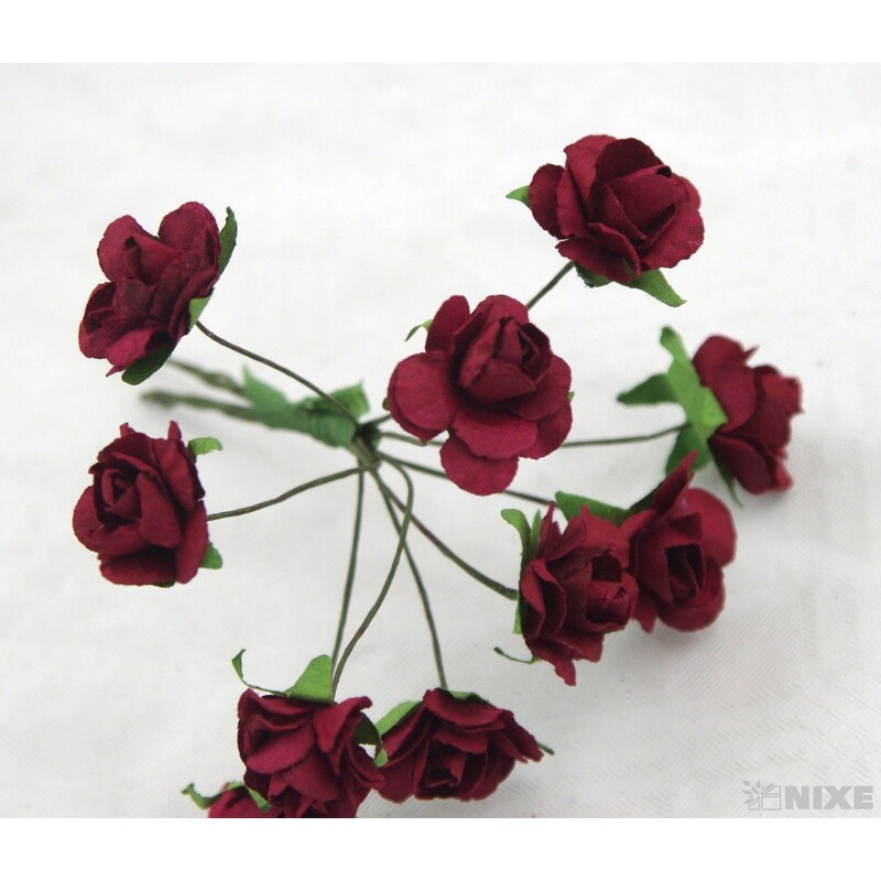 KYTIČKA SVAZEK 1x9cm 10ks 12sv*MIX BAREV