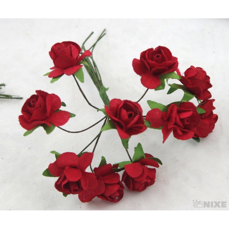 KYTIČKA SVAZEK 1x9cm 10ks 12sv*MIX BAREV