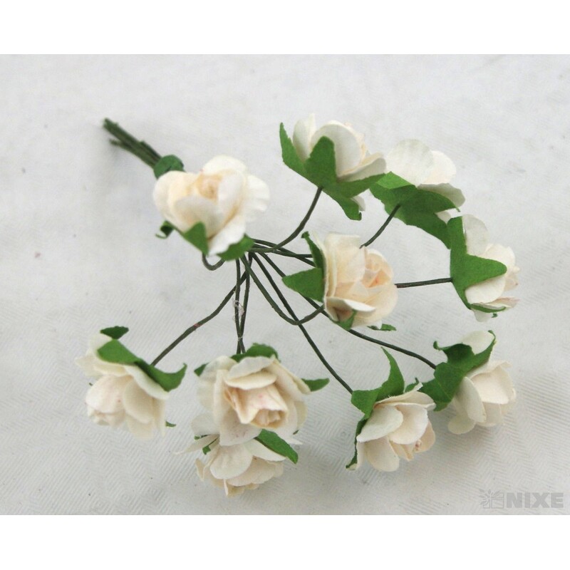 KYTIČKA SVAZEK 1x9cm 10ks 12sv*MIX BAREV