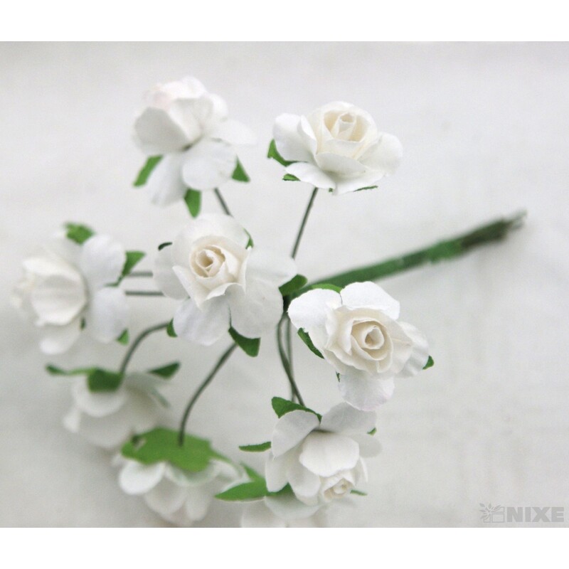 KYTIČKA SVAZEK 1x9cm 10ks 12sv*MIX BAREV