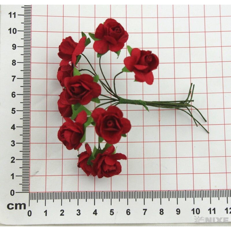 KYTIČKA SVAZEK 1x9cm 10ks 12sv*MIX BAREV