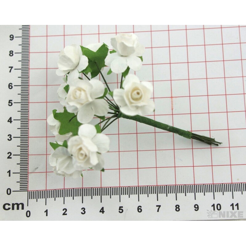 KYTIČKA SVAZEK 1x9cm 10ks 12sv*MIX BAREV