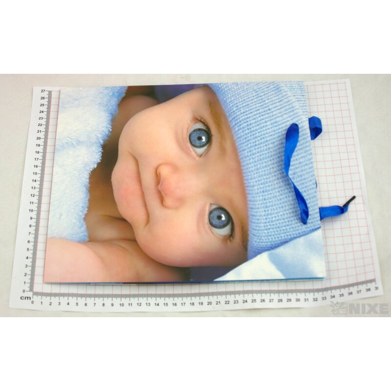 TAŠKA LUX BF V FACE 26x31x9,5cm*