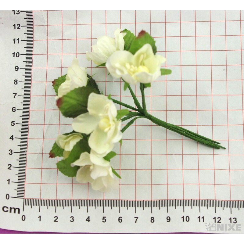 KYTIČKA 1,5x10cm 6ks 12sv*KRÉMOVÁ