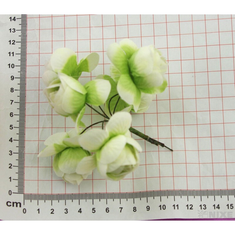 KYTIČKA 2,5x10cm 6ks 6sv*ZELENÁ