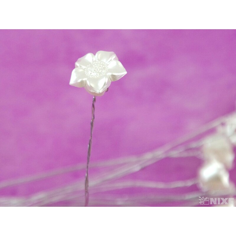 ZÁPICH KYTKA AKRYL 12ks 1x12cm*PRŮHLEDNÁ