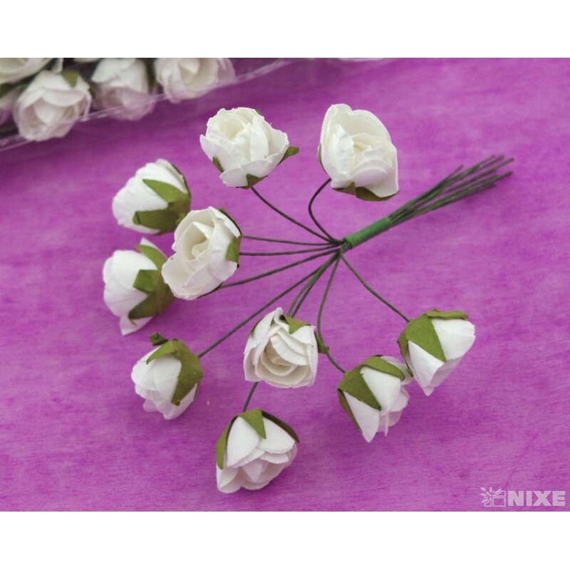 KYTIČKA SVAZEK 2,5x10cm 10ks 12sv*BÍLÁ