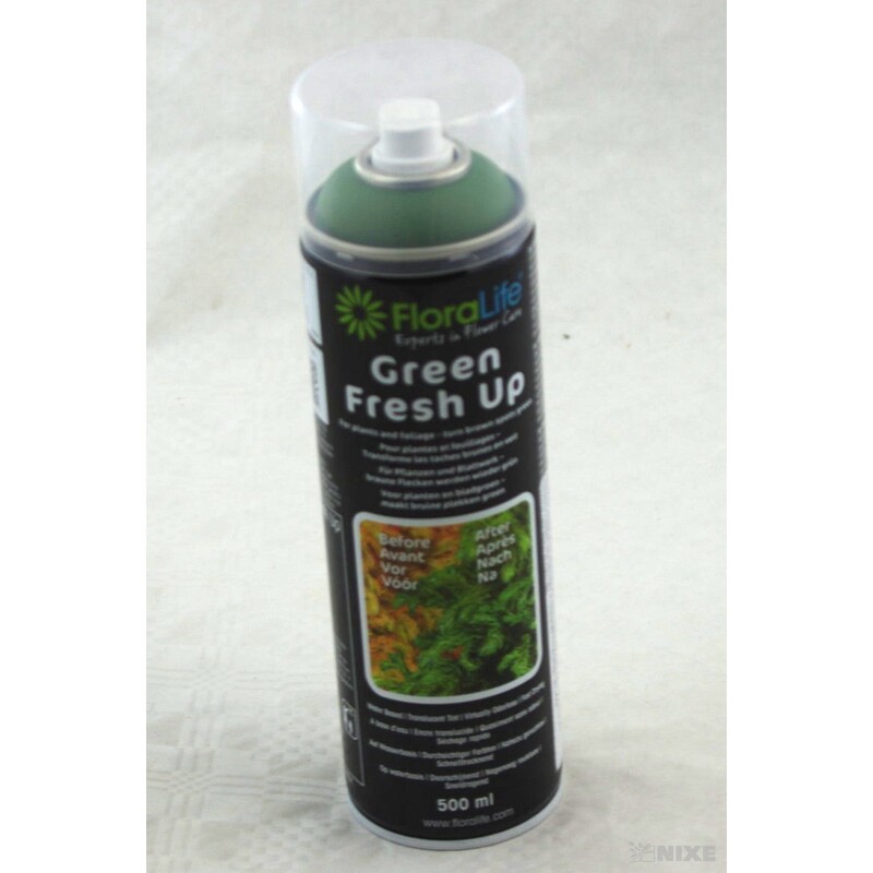 SPRAY FLORALIFE GREEN FRESH UP 500ml*ZELENÁ LIST. V+
