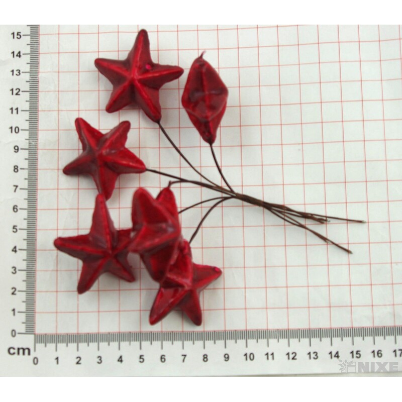 HVĚZDA PŘÍZDOBA 4x14cm 6ks 12sv*ČERVENÁ