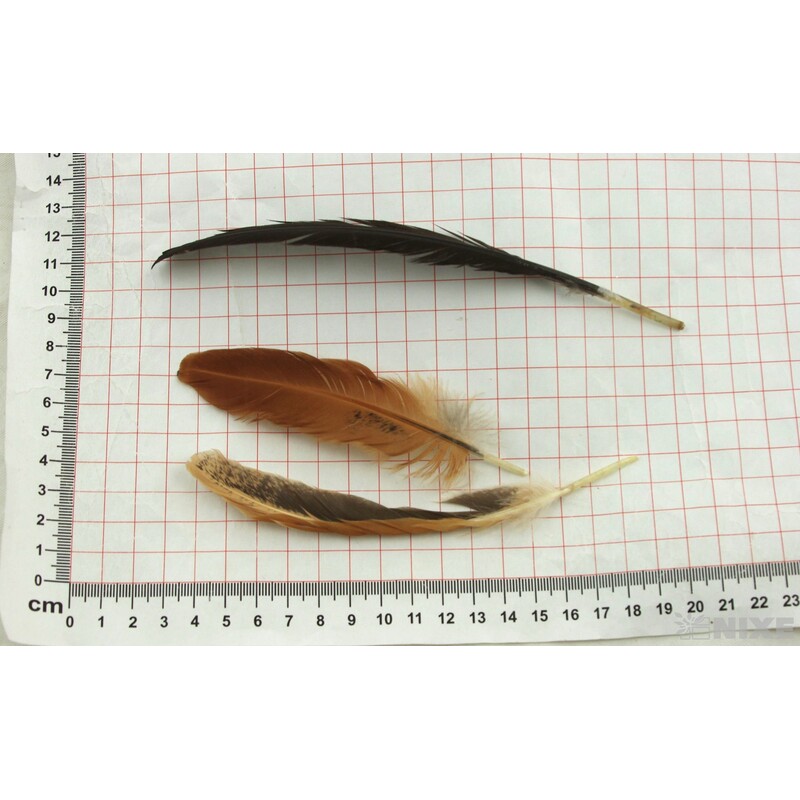 PEŘÍČKA BOX 192ks*PŘÍRODNÍ