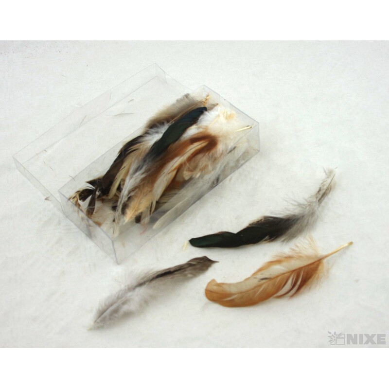 PEŘÍČKA BOX 144ks*PŘÍRODNÍ