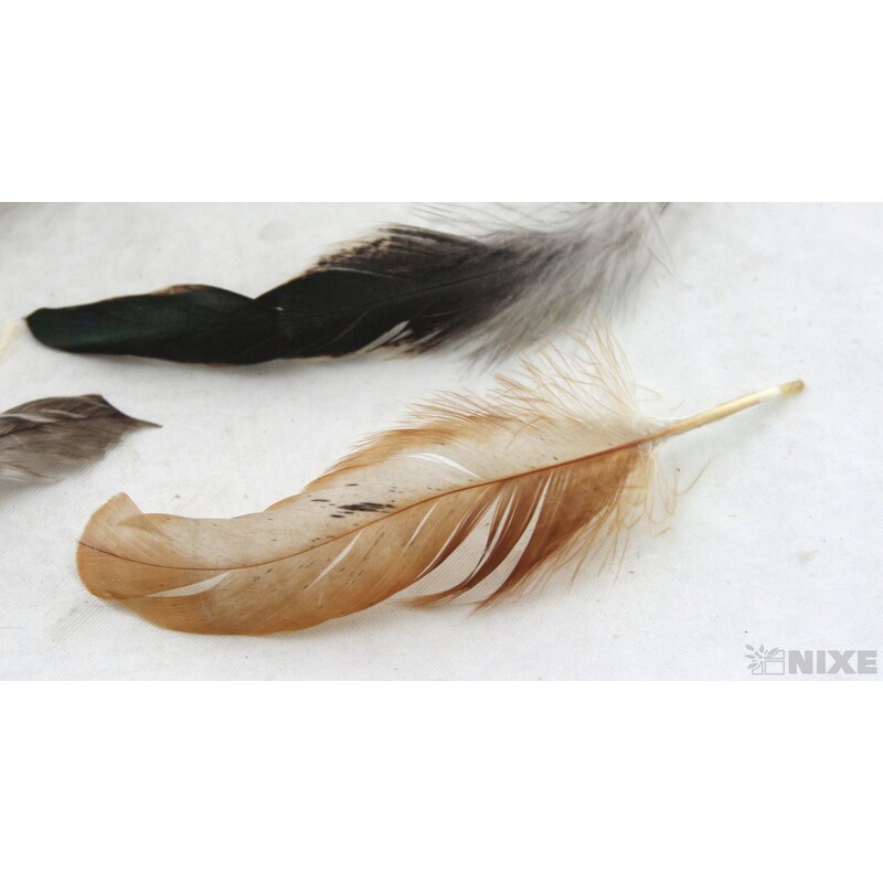 PEŘÍČKA BOX 144ks*PŘÍRODNÍ