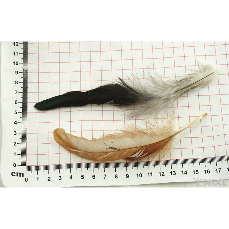 PEŘÍČKA BOX 144ks*PŘÍRODNÍ