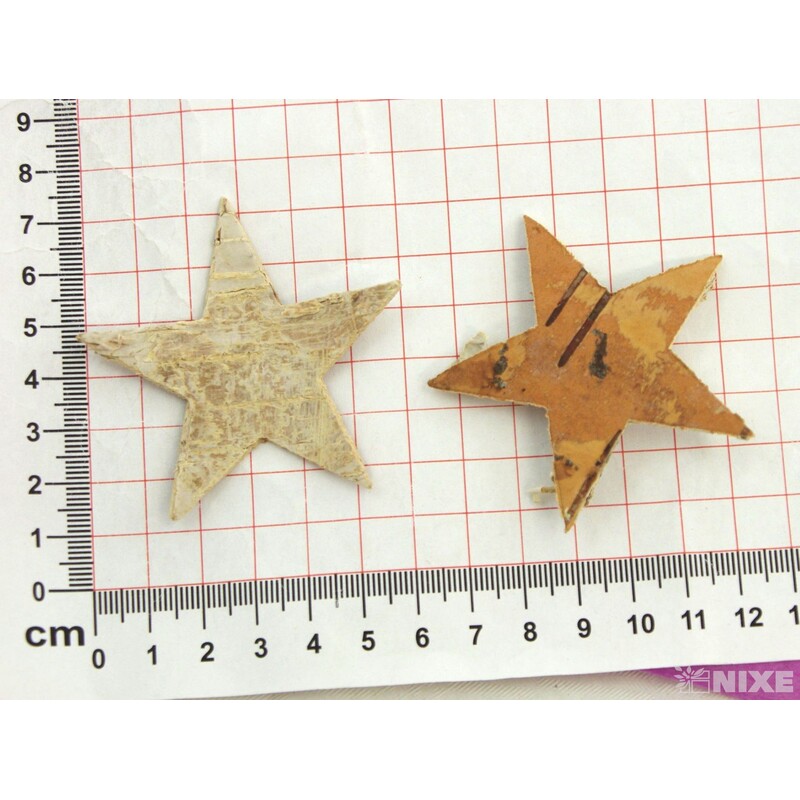 HVĚZDA BŘÍZA 6,5cm 40ks*PŘÍRODNÍ