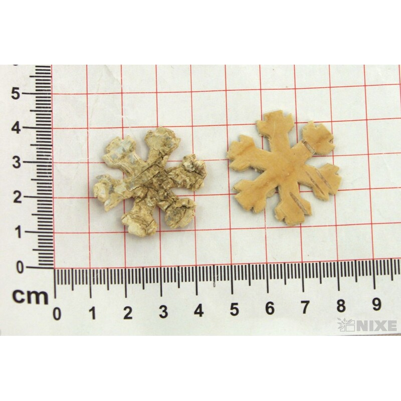 VLOČKA BŘÍZA 4cm 80ks*PŘÍRODNÍ