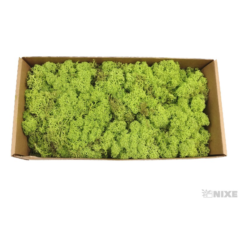 MECH 500g*ZELENÁ SV.