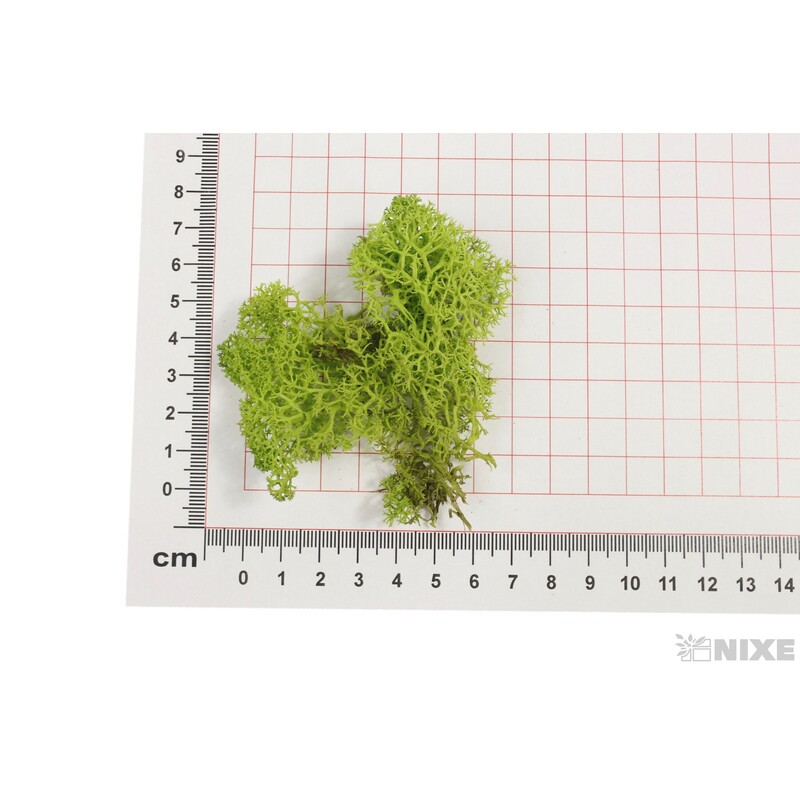 MECH 500g*ZELENÁ SV.