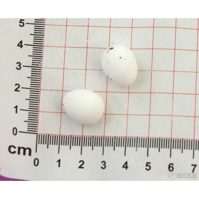 VAJÍČKA 100ks 1,8cm*MIX BAREV