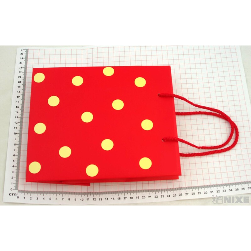 TAŠKA X 20X24X11cm*PUNTÍK