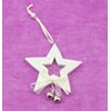 ZÁVĚS HVĚZDA D 10cm*BÍLÁ