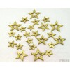 HVĚZDA 3,5-6,5cm 24ks*ZLATÁ