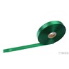 SATÉNOVÁ STUHA TTR JS 25mmx100m*ZELENÁ EMERALD