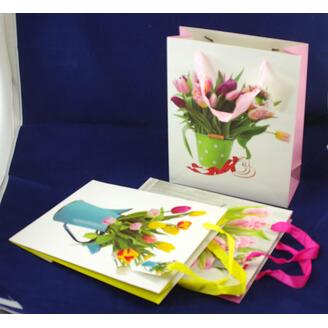 TAŠKA LAMIN V MIX 26x32x10cm*