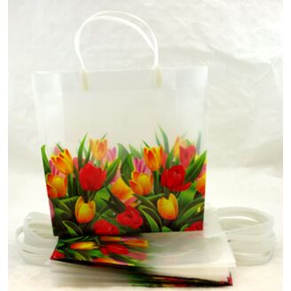 TAŠKA H PLAST 25x23x10cm*