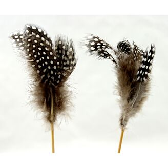 ZÁPICH PEŘÍ 50ks 10x24cm*