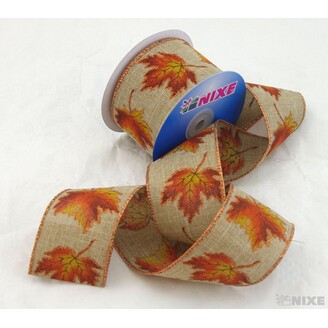 SALVI 60mmx10yd*PŘÍRODNÍ C002 V+