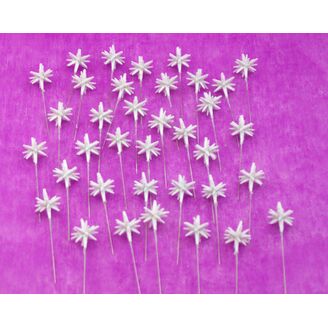 ŠPENDLÍK HVĚZDA 30mmx9cm 36ks*BÍLÁ