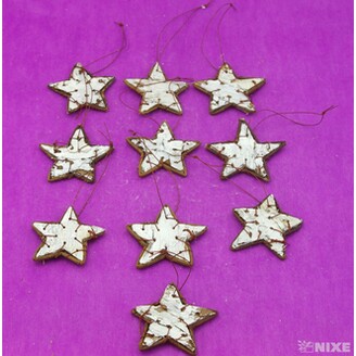 HVĚZDA BŘÍZA 6,5cm 10ks*PŘÍRODNÍ