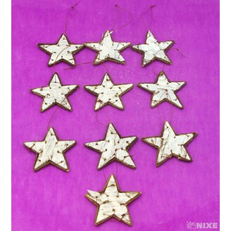 HVĚZDA BŘÍZA 9,5cm 10ks*PŘÍRODNÍ