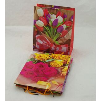 TAŠKA LAMIN S MIX 18x22x8cm*