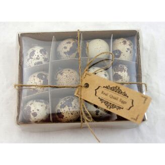 VAJÍČKA KŘEP. 3cm 12ks*PŘÍRODNÍ