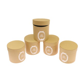 KVĚTINOVÝ BOX 5ks 12x11,5cm*MIX BAREV